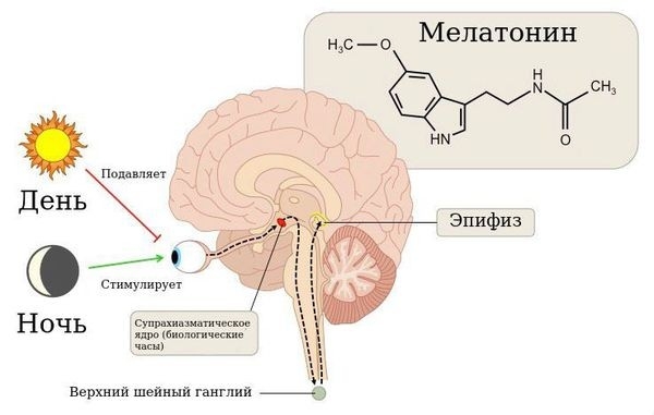 О нарушениях сна