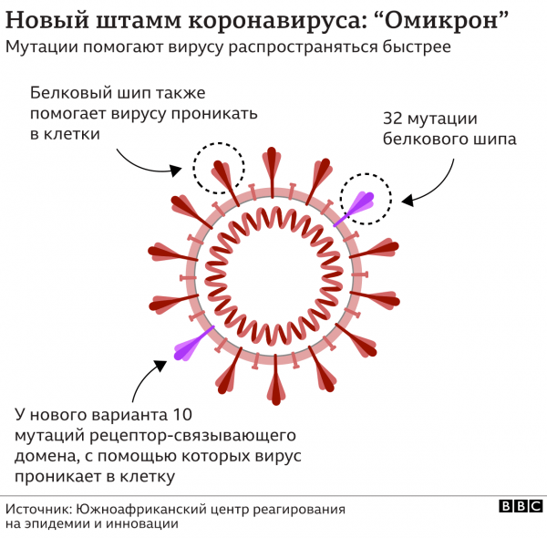 Что известно о новом штамме «Omicron»?