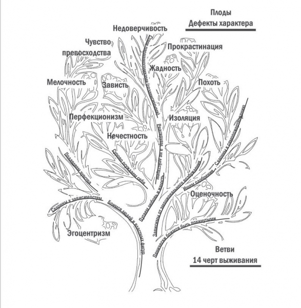 О дефектах характера личности 