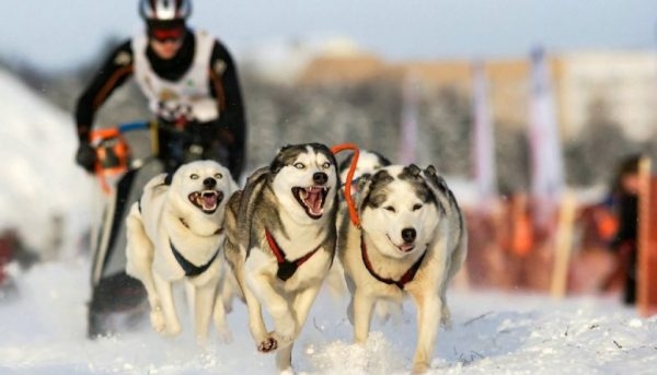 Успейте насладиться снежной зимой