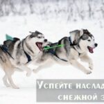 Успейте насладиться снежной зимой