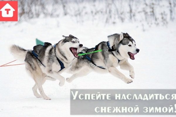 Успейте насладиться снежной зимой