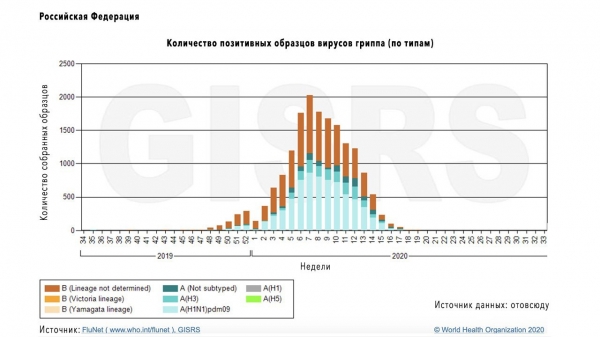 Вакцинация против гриппа: почему это важно